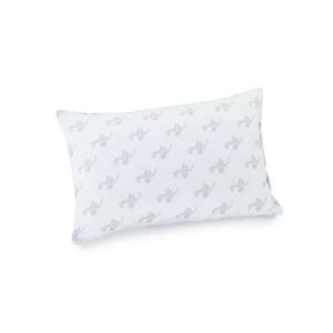 GoAnywhere Pillow